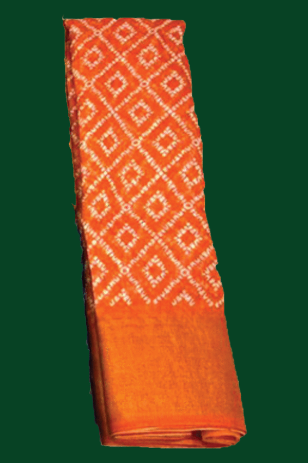indian lady - Image 3